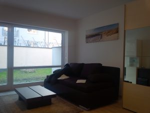 Living room with fold out sofa